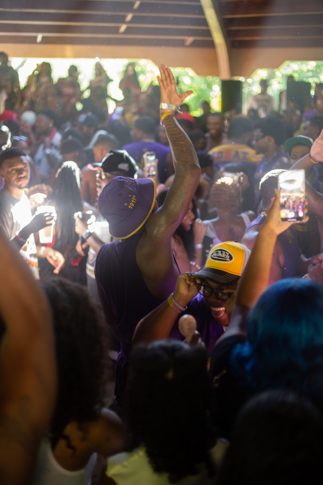 Festival crowd — hands up in a sea of purple and gold